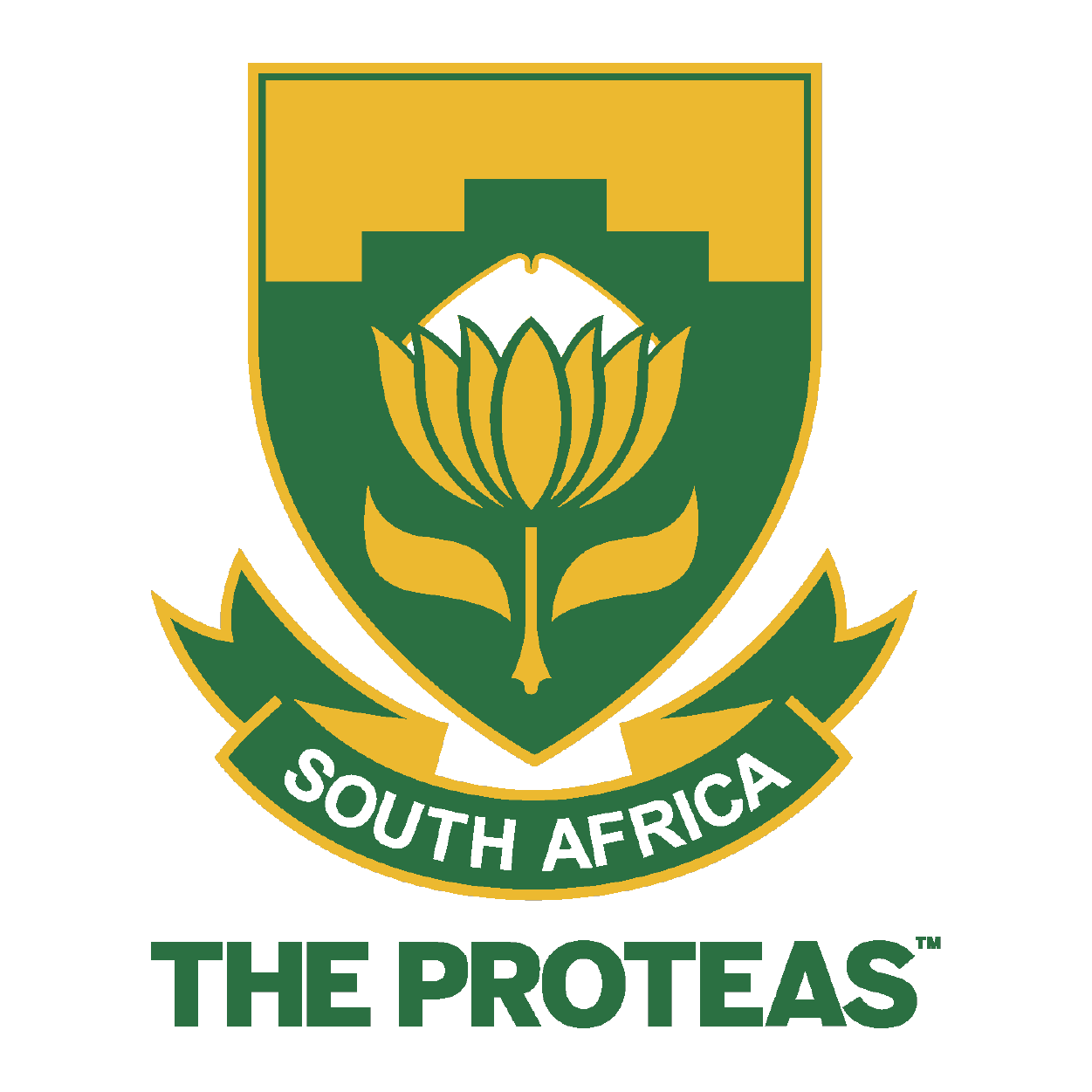 Cricket South Africa