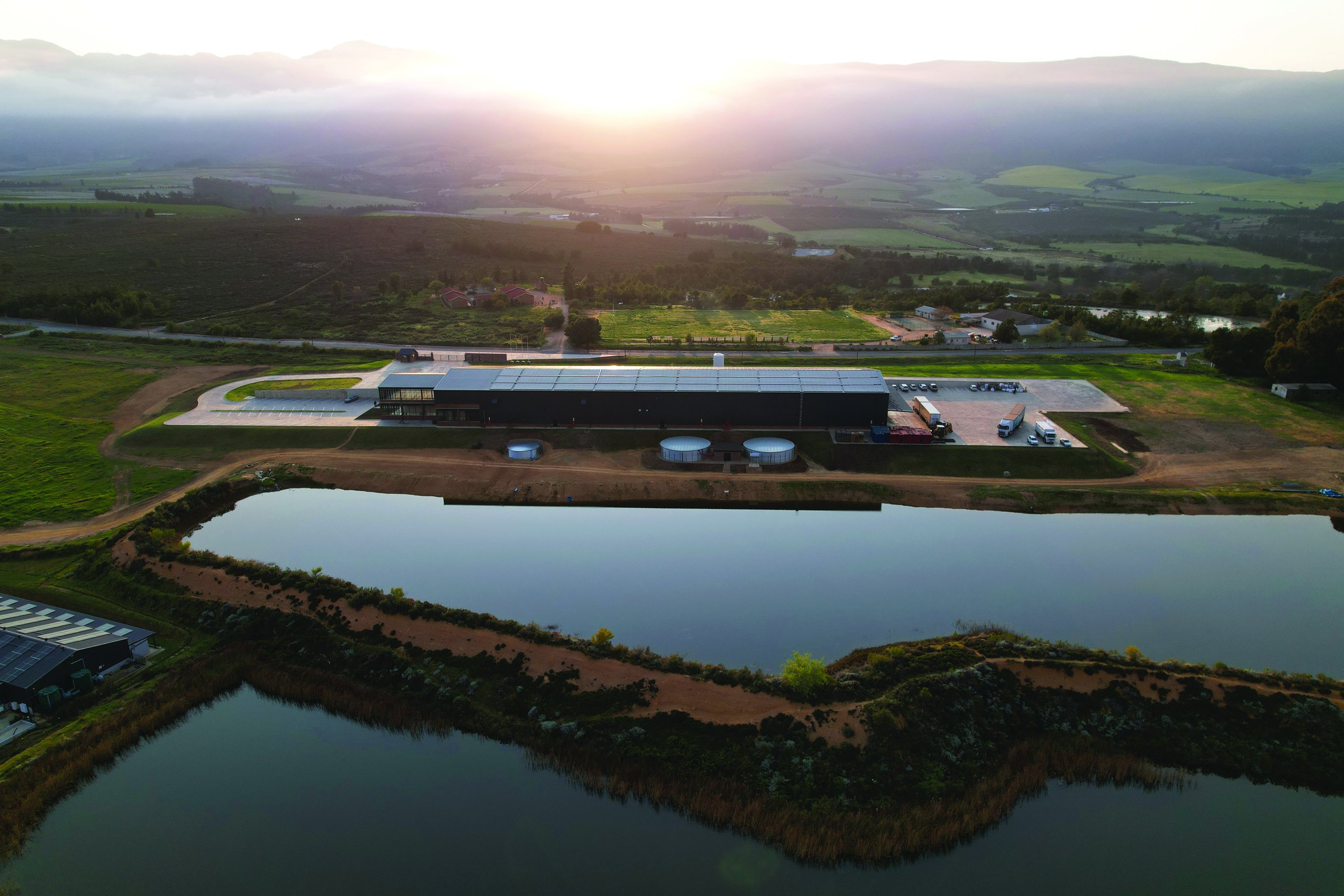 The Tulbagh plant